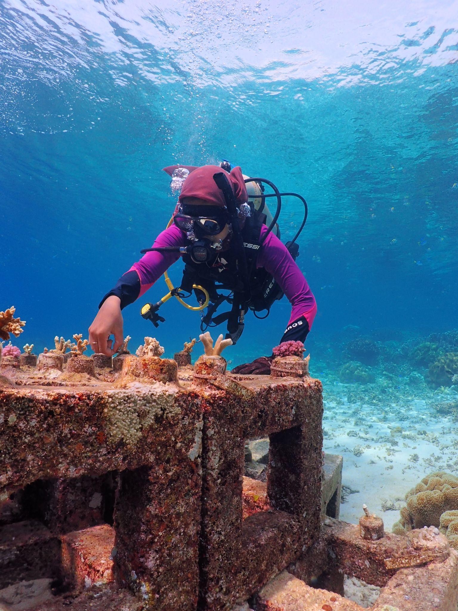 Coral reef monitoring Coral reef monitoring